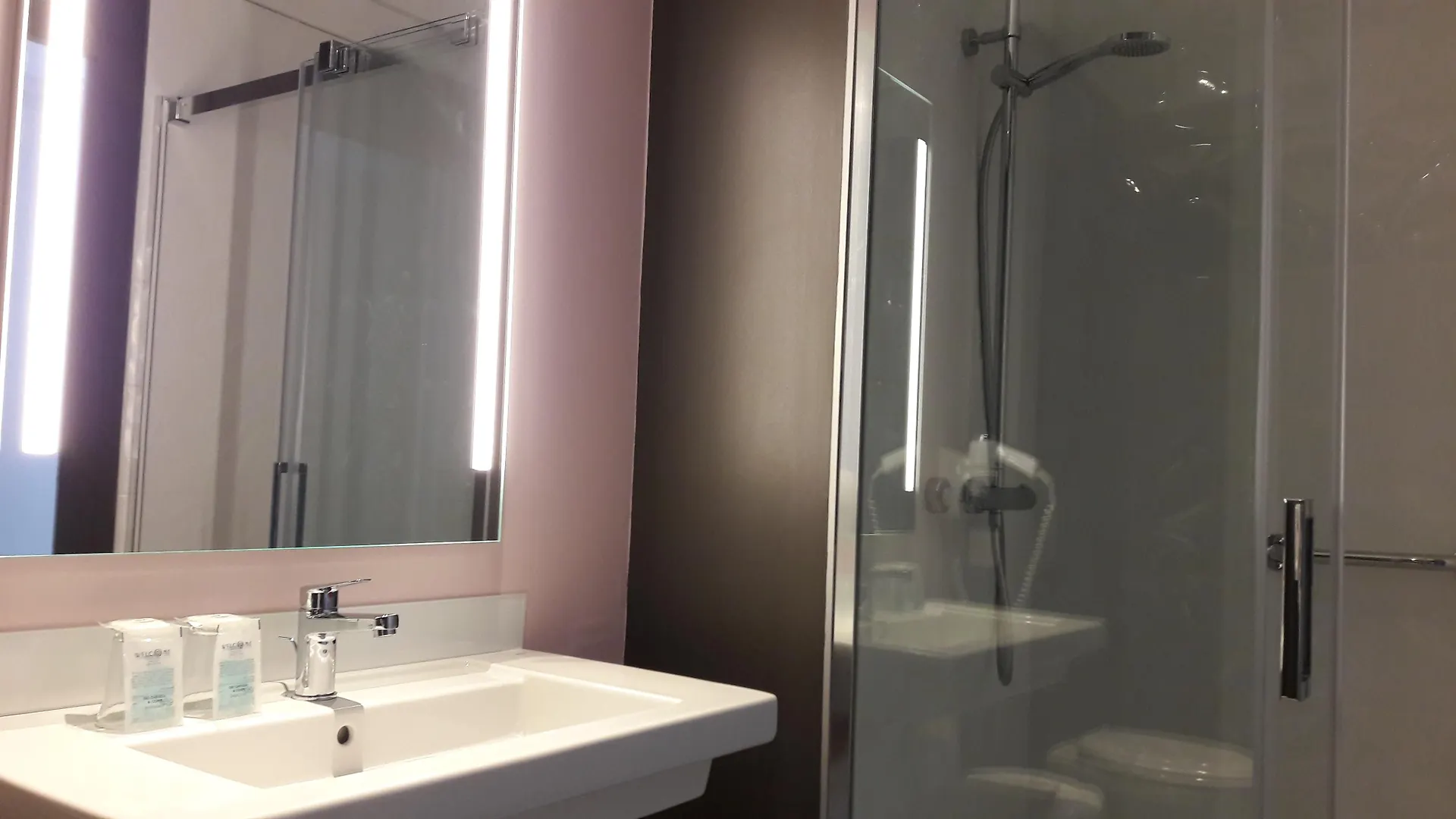 Hôtel Sainte-Rose Lourdes 3*,