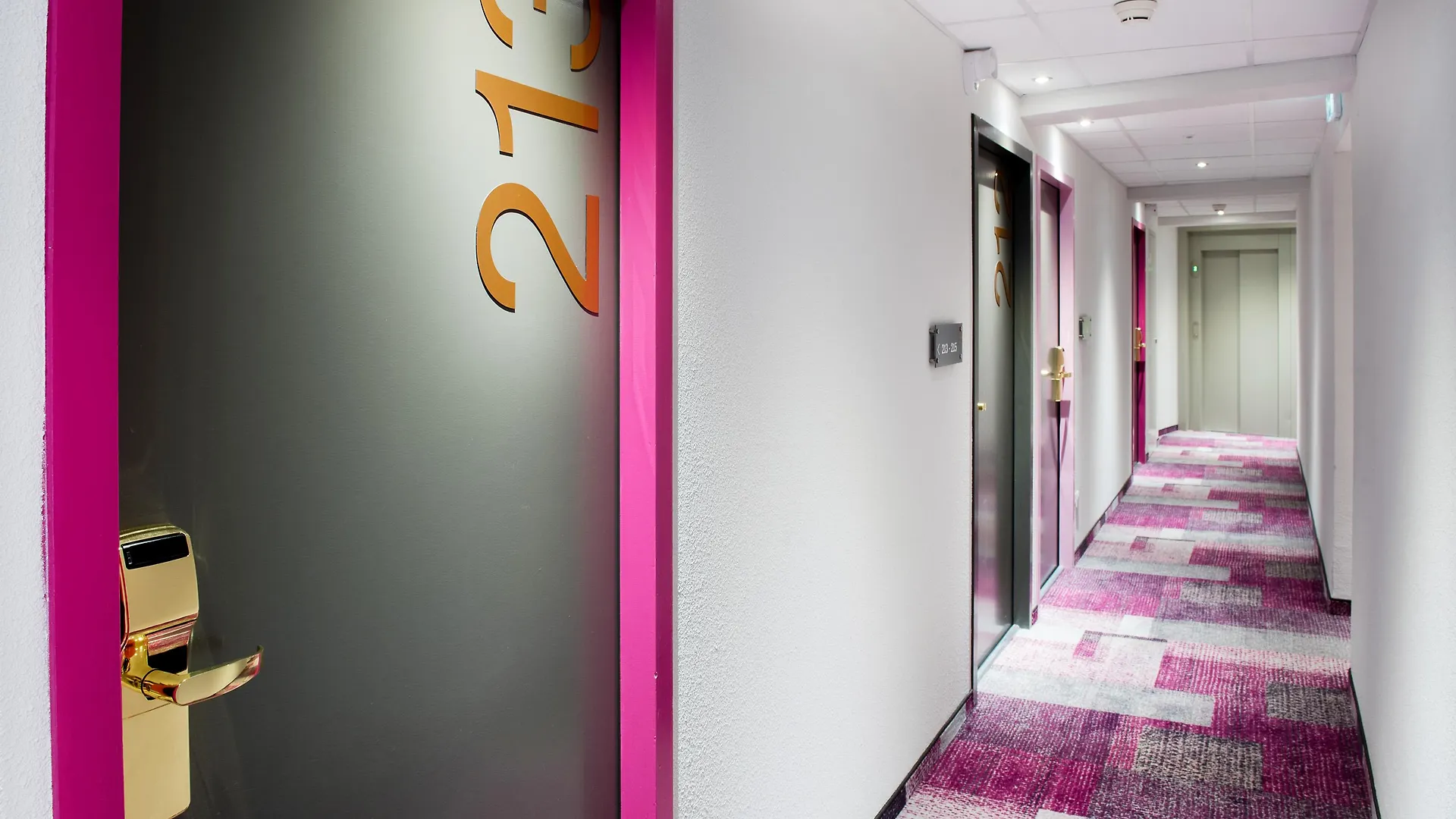 Hôtel Sainte-Rose Lourdes 3*,